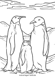 Anschließend kannst du dein malvorlage pinguin bild mit deinen lieblingsfarben ausmalen. Malvorlage Kaiserpinguine Pinguin Kostenlose Ausmalbilder