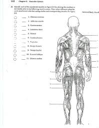 Quotes About Bones And Muscles Quotesgram