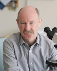 Scientific advisory committee