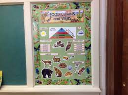 The Food Chain Energy Pyramid Food Chain Food Web