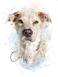 Get perfect portrait for your pet here. Custom Dog Portrait Watercolor Dogportrait Petlovers Petportrait Pet Artist Dog Canvas Art Watercolor Dog Portrait
