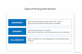 Nursing Care Plan Ncp Ultimate Guide And Database