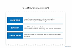 nursing care plan ncp ultimate guide and database