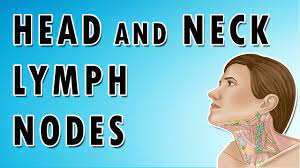 « back show on map ». Occipital Auricular Cervical Submandibular And Submental Nodes Head And Neck Lymph Nodes Youtube
