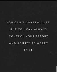 Adapt Motivationalquotes Motivation Quotes Quoteoftheday Quote Motivational Successtips Succ Adaptation Quote Quotes By Famous People Quotes To Live By