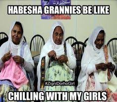 Each day we scour the depths of internet humor to find the cream of the comedy crop. 22 Ethiopian Memes Ideas In 2021 Memes African Memes African Jokes