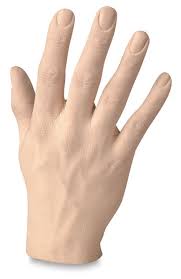 Image result for hands