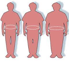 The total number of speakers of standard malay is about 18 million. Obesity Wikipedia