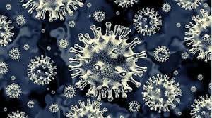 Inicia en forma semejante a la anterior pero la. Sci Simplified Amid Growing Threat Of Mucormycosis Debates Rise Over Potential Causes And Names The Weather Channel Articles From The Weather Channel Weather Com