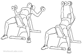 We did not find results for: Incline Bench Dumbbell Fly Illustrated Exercise Guide Workoutlabs
