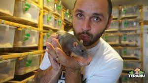 19:46 anna se plânge că nu a fost lăsată să se urce în avion. Alegerea Èi Ingrijirea Pentru Èoareci Ca Animale De Companie 2021 Alte Nc To Do