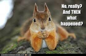 It is also easy to browse through the site one picture at a time. Really Funny Pictures Of Animals With Captions