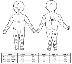 notes on burn pcl nursing 2nd year nursing care of