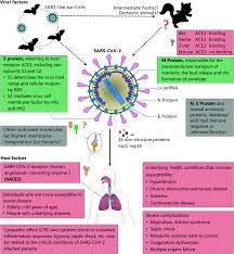 2019 novel coronavirus, wuhan seafood market pneumonia virus) — оболочечный одноцепочный. The Origin Transmission And Clinical Therapies On Coronavirus Disease 2019 Covid 19 Outbreak An Update On The Status Military Medical Research Full Text