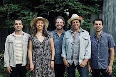 The Mammals