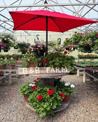 Image result for tbn:0PJB32OL7JwfOM::farm4.static.flickr.com/3324/3329876139_f2d551139f.jpg