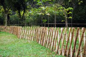 Bamboo Fence Google Search Bamboo Garden Bamboo Fence Diy Garden Fence