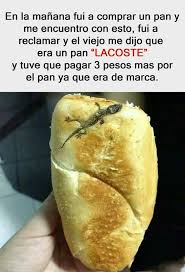 El Pan Lacoste Humor Mexicano Funny Memes Stupid Funny Memes