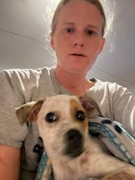 What time should I arrive at Baldwin Clinic or is PAACS easier to get seen  at for my newly adopted dog?