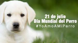 Quedan 163 días para finalizar el año. El Almanaque NÂº 7909 Miercoles 21 De Julio De 2021