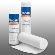 Image result for Isoglossa eliasbandae