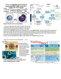 Migration of alleles (traits) from one population to another. Texas Biology Staar Review Packet With Examples And Practice Questions