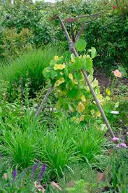 Get contact details or leave a review about this business. Designing The Country Cottage Garden