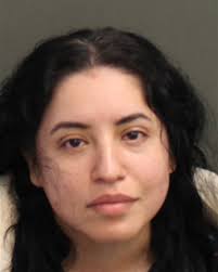 37-year-old AMANDA CASSELL of APOPKA, Florida was arrested