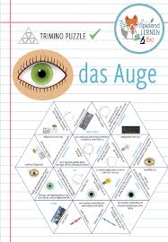 Das Auge Trimino Puzzle Unterrichtsmaterial Im Fach Biologie In 2020 Biologie Studium Unterrichtsmaterial Lernen Tipps Schule