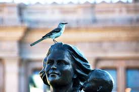 Profile for Frances Packman Photography