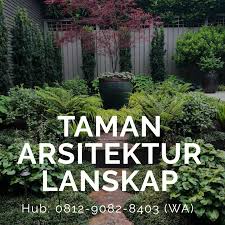 Taman Kolam Minimalis Taman Rumah Sederhana Taman Rumah Mewah Taman Taman Buah Pertamanan Belakang Rumah