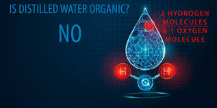 Human Body, Water, Organic And Inorganic Elements. Percentage. Vector  Illustration For Education Stock Vector Image & Art - Alamy