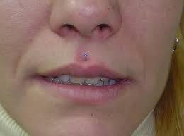 Pin On Piercings