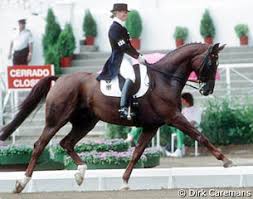 For isabell werth, the most decorated olympic equestrian athlete of all time, it is simple: 92 Og Werth Gigolo 01