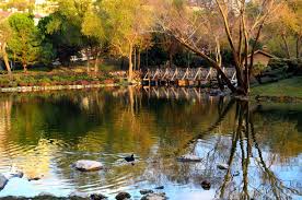 We did not find results for: Bahcesehir Golet Park Istanbul Un Ilk Ve En Buyuk Goleti Bahce Ve Peyzaj Dergisi Peyzaj Goletler Bahcesehir