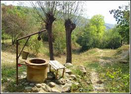 1 source for hot moms, cougars, grannies, gilf, milfs and more. Fantana Satului Cain Ro Sursa Ta Zilnica De Informatie