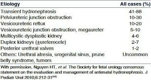 Revised Guidelines On Management Of Antenatal Hydronephrosis Abstract Europe Pmc