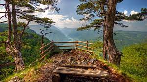 Nacionalni park prostire se na oko 25 hiljada hektara. National Park Tara Palisad