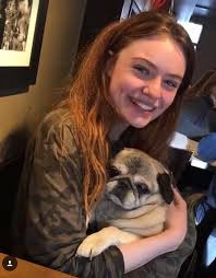 Old man Tino came to us as no one in his family had the time or energy to  care for him properly any longer. We loved him immediately as he had a