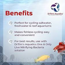 Cycling An Aquarium Fishless Vs Fish-In Cycle