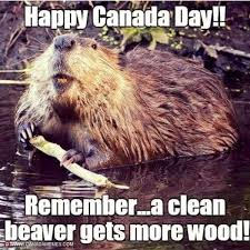 Check spelling or type a new query. Canada Memes On Twitter Remember A Clean Beaver Gets More Wood Https T Co 2cvth0rnih Canada Meme Memes Eh Canadamemes