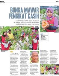 Dalam hadis dari abu huraurah r.a., ia berkata rasulullah saw bersabda: Bunga Mawar Pengikat Kasih Klik