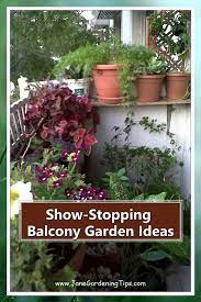 Pin On Apartment Gardening