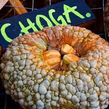 Maybe you would like to learn more about one of these? Photos At Parkhurst Pumpkin Patch Arcadia Ok