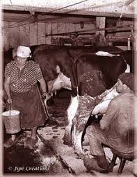 La vie à la ferme. 200 Idees De Paysans D Autrefois Paysan Vieux Metiers Photos Anciennes
