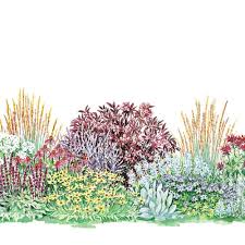 Maybe you would like to learn more about one of these? Deer Won T Bother With This Garden But You Ll Love Its Long Season Of Bloom And Varied Fol Deer Resistant Garden Deer Resistant Garden Plans White Flower Farm