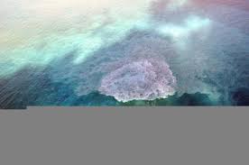 The underwater volcano facts, presented in this sciencestruck article, will help you understand how an underwater … Lo Que Sabemos Sobre Los Volcanes Submarinos