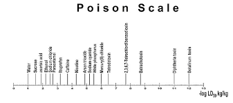 Ibuprofen causes gi ulcers in certain dogs even at a low ibuprofen dosage for dogs. Median Lethal Dose Wikipedia
