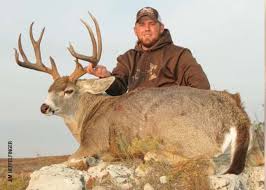 And for the better reference it is wise to know the impact of barometric pressure. Hybridization A Unique Tail Of Whitetails And Mule Deer