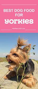 5 Best Dog Food For Yorkies Teacup Puppy 2019 Brands Best Dog Food Healthy Dog Food Recipes Dog Food Recipes